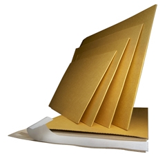 Hard cardboard envelope