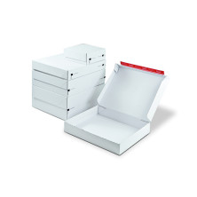 ColomPac cardboard box CP164.242510 23,1 x 23,9 x 9,5 "Fashion box"